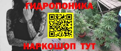 гашик Ипатово