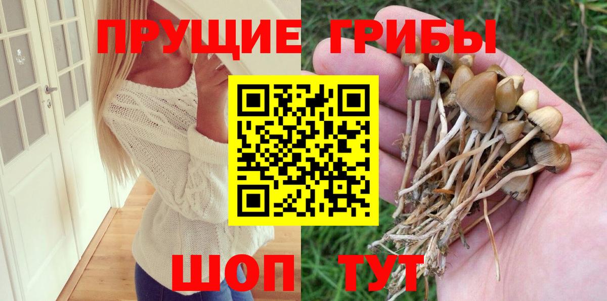 Псилоцибиновые грибы мицелий  Галлюциногенные грибы Psilocybine cubensis  Вход с VPN  Кызыл 